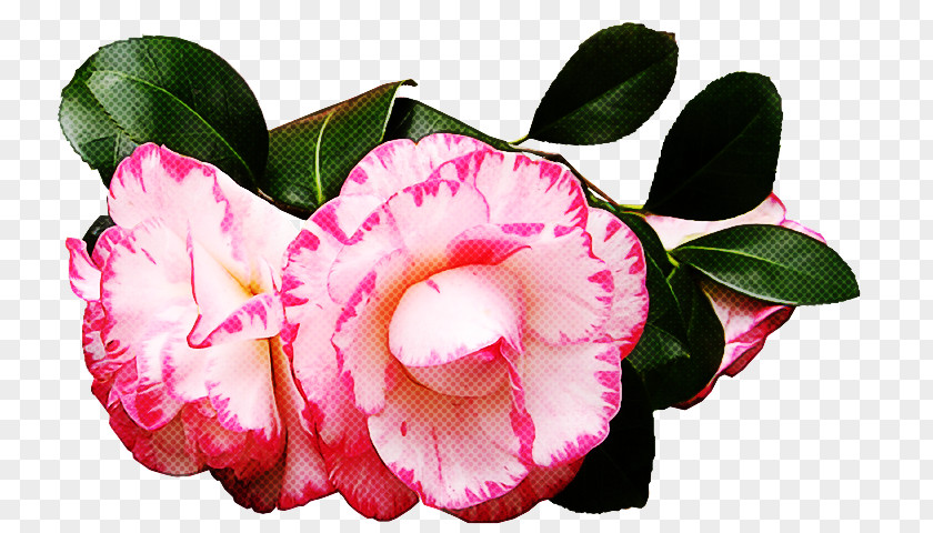 Artificial Flower PNG