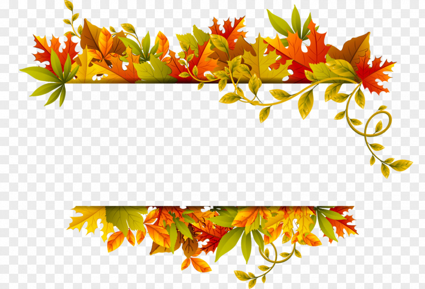 Autumn Leaf Color Maple PNG