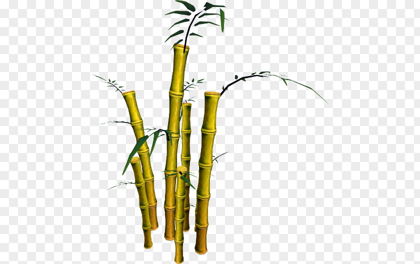 Bamboo Musical Instruments Phyllostachys Aurea RuneScape Plant Stem PNG