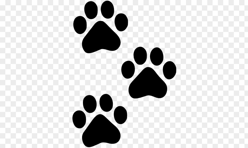 Cat Pet Sitting Dog Paw Animal Track PNG