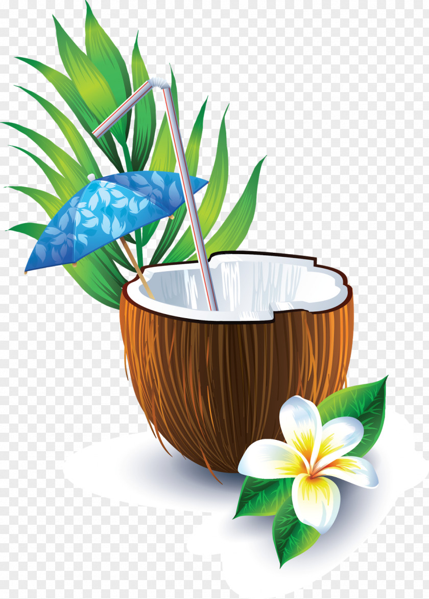 Cocktail Coconut Water Milk PNG