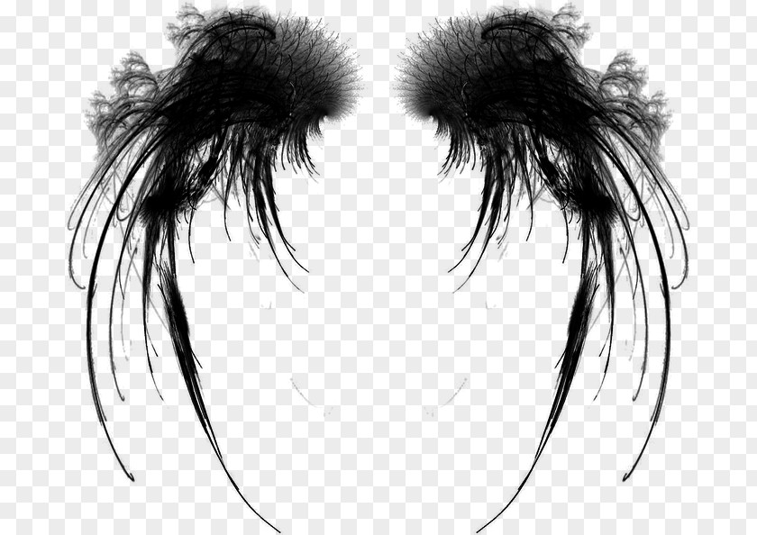 Eye Eyebrow Eyelash Kitesurfing Sketch PNG