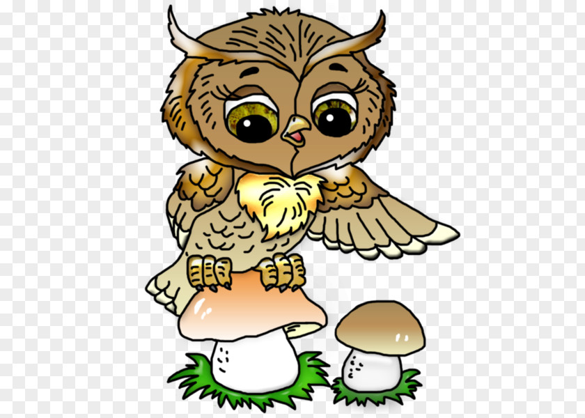Rainbow Owl Drawings Cartoon Clip Art Drawing Child Bird PNG