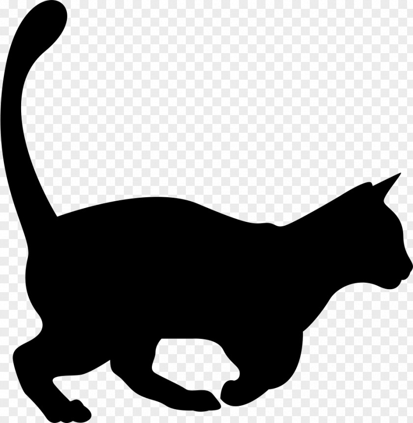 Shape Exotic Shorthair PNG