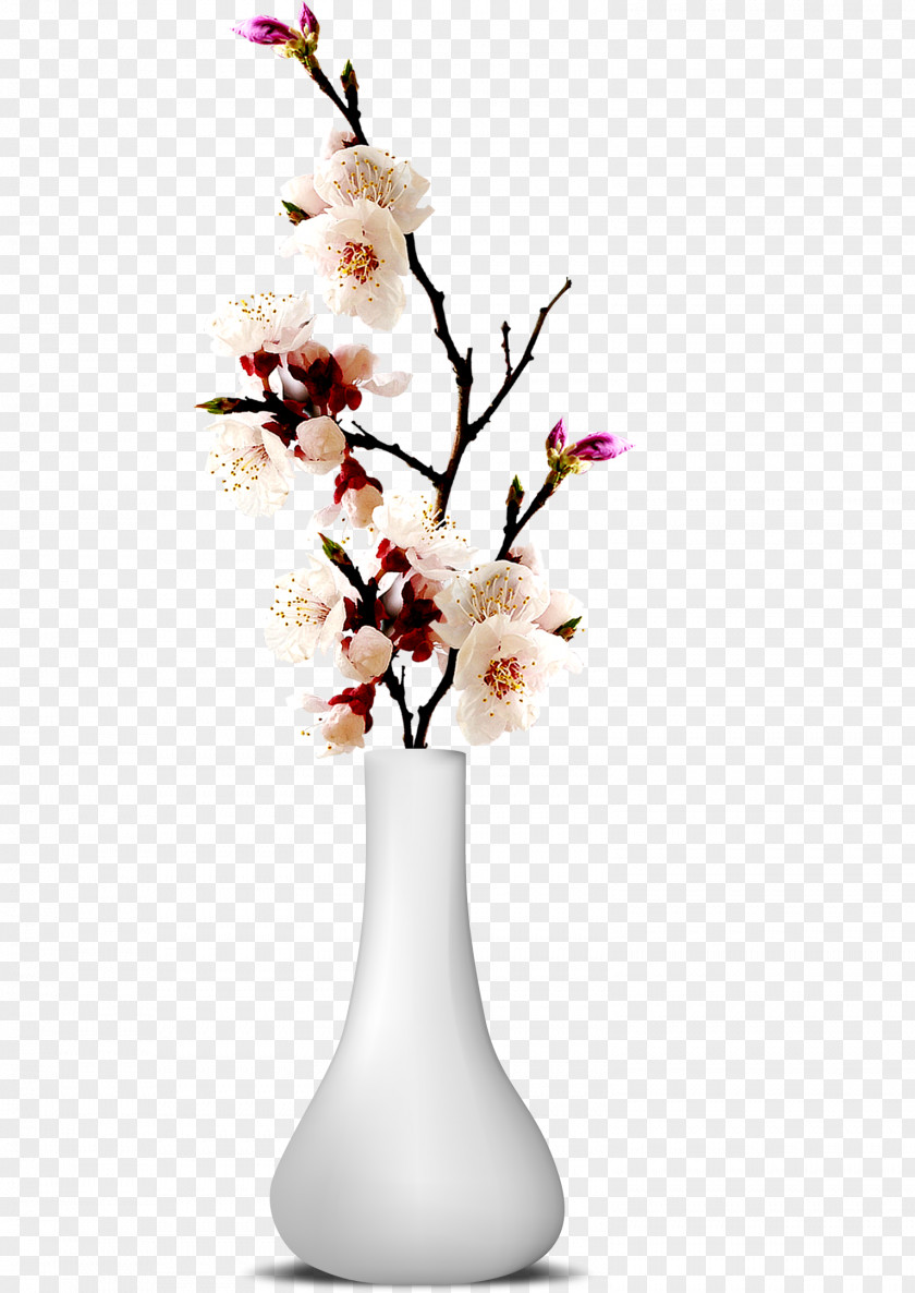Vase ForgetMeNot Flower Blossom PNG
