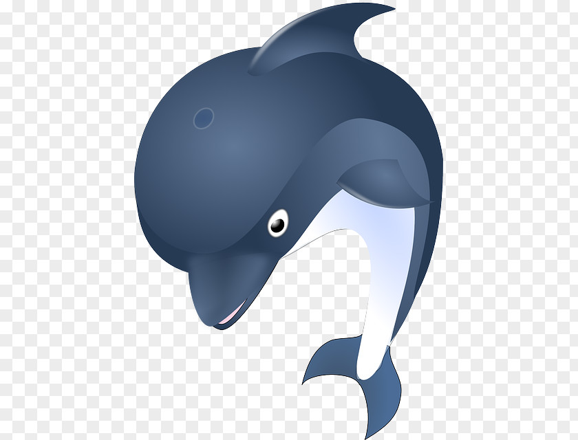 Cartoon Dolphin Common Bottlenose Clip Art PNG
