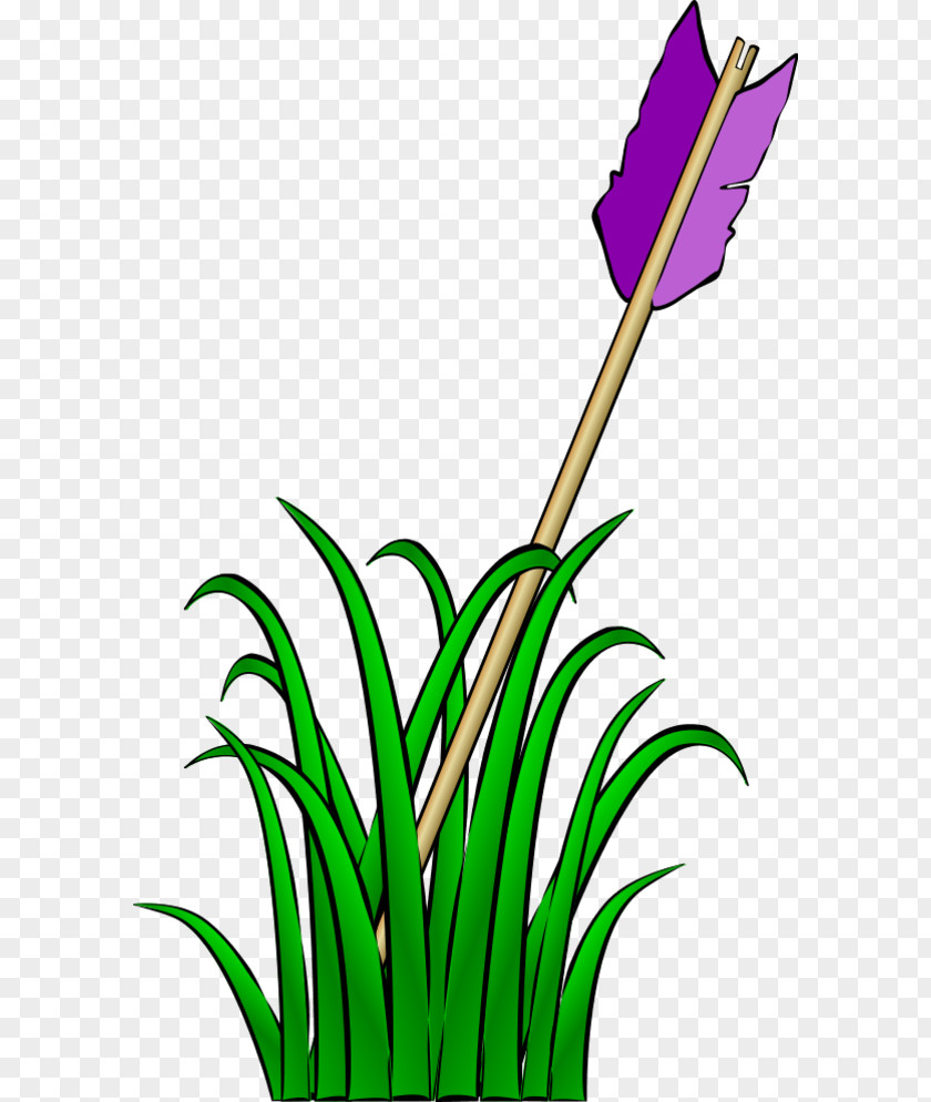 Cartoon Grass Clip Art PNG