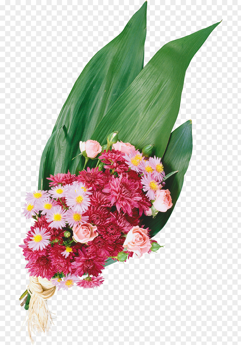 Chrysanthemum Cut Flowers Floristry PNG