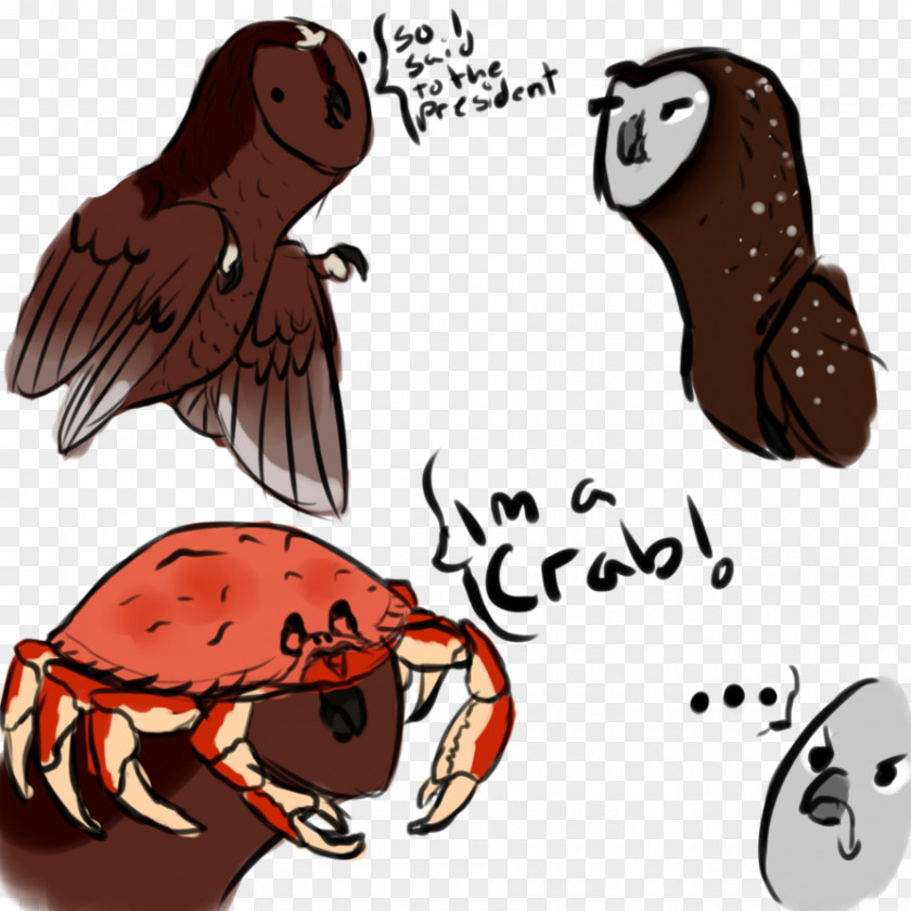 Crab Clip Art Illustration Decapods PNG