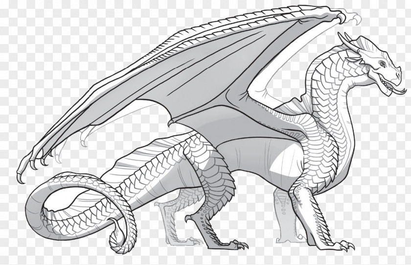 Dragon Coloring Book Chinese Wings Of Fire Child PNG