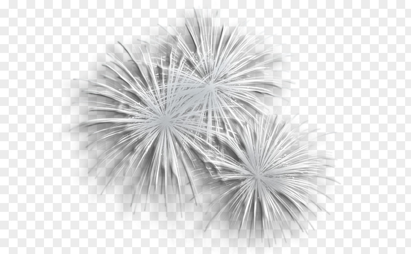 Fireworks Design Black And White Clip Art PNG