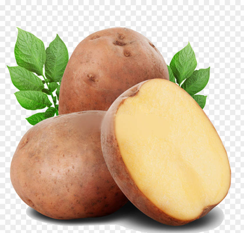 Potato Food Russet Burbank Vegetable Stock Photography PNG