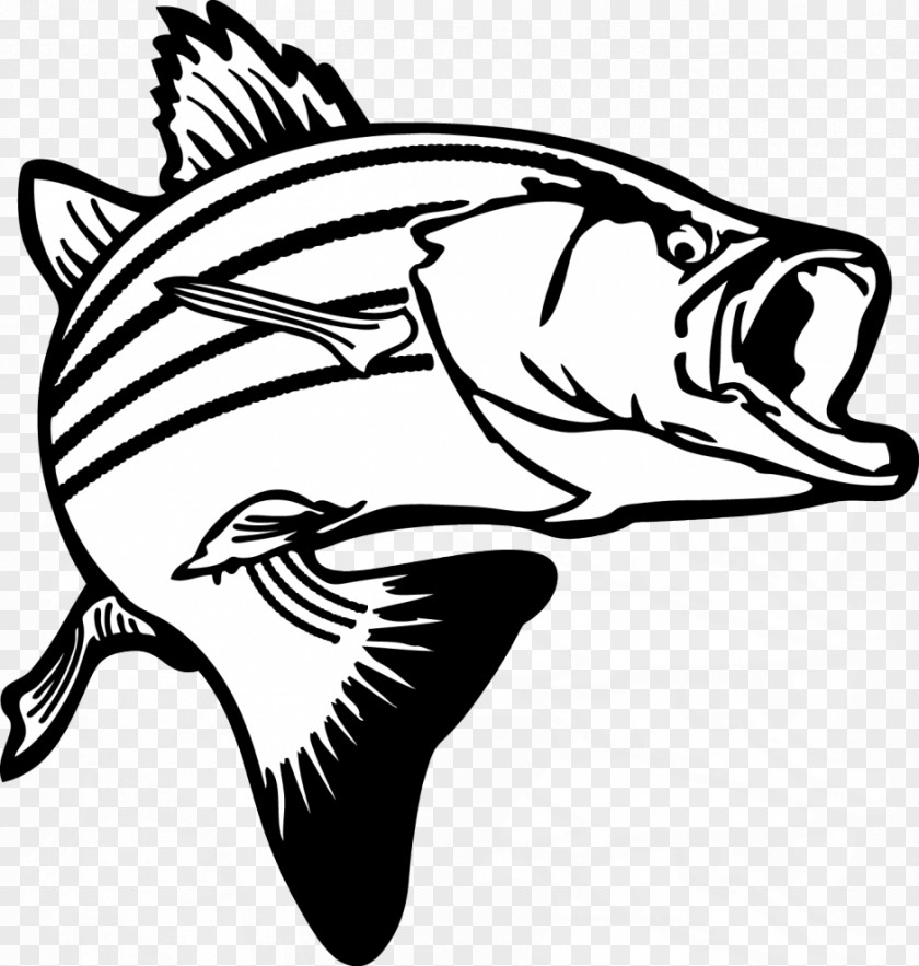 Salmon Cliparts Largemouth Bass Fishing Clip Art PNG