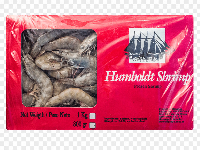 Shrimp Caridea Whiteleg Giant Tiger Prawn Seafood PNG