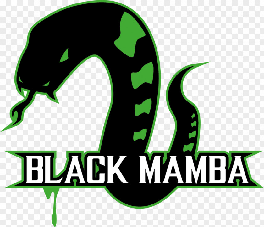 Snake Logo Black Mamba Snakes DeviantArt Font PNG