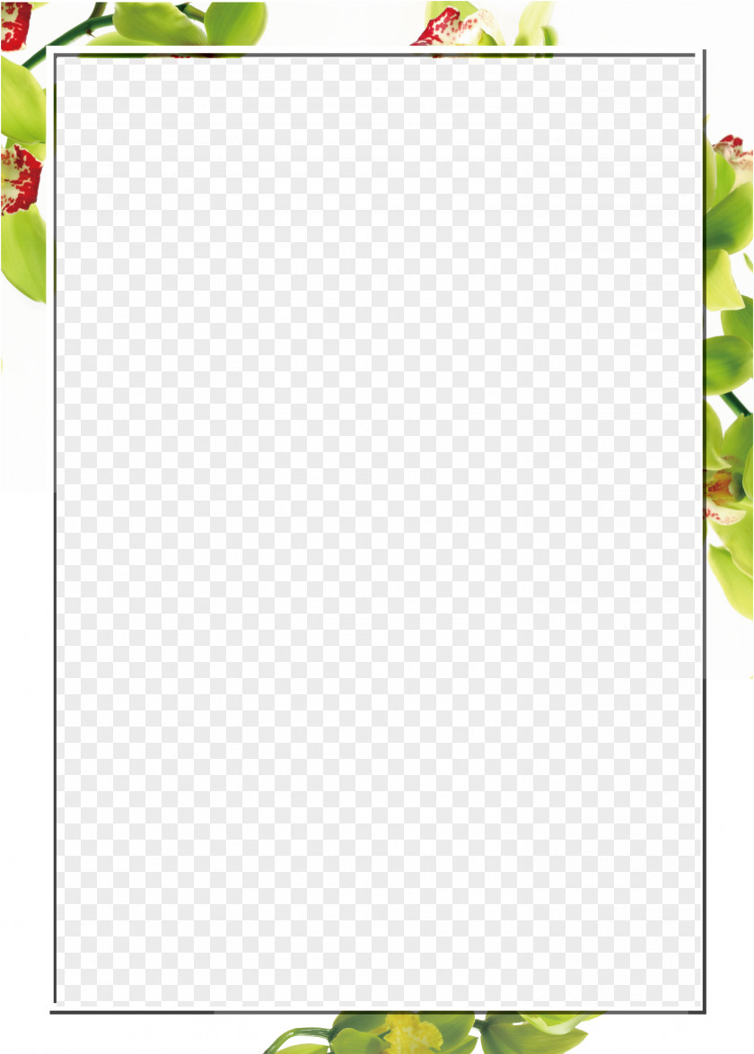 Spring Floral Decoration Borders Template PNG