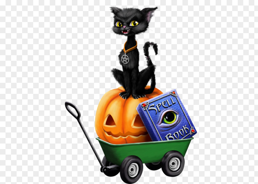 Cat Black Halloween Boszorkány Pumpkin PNG