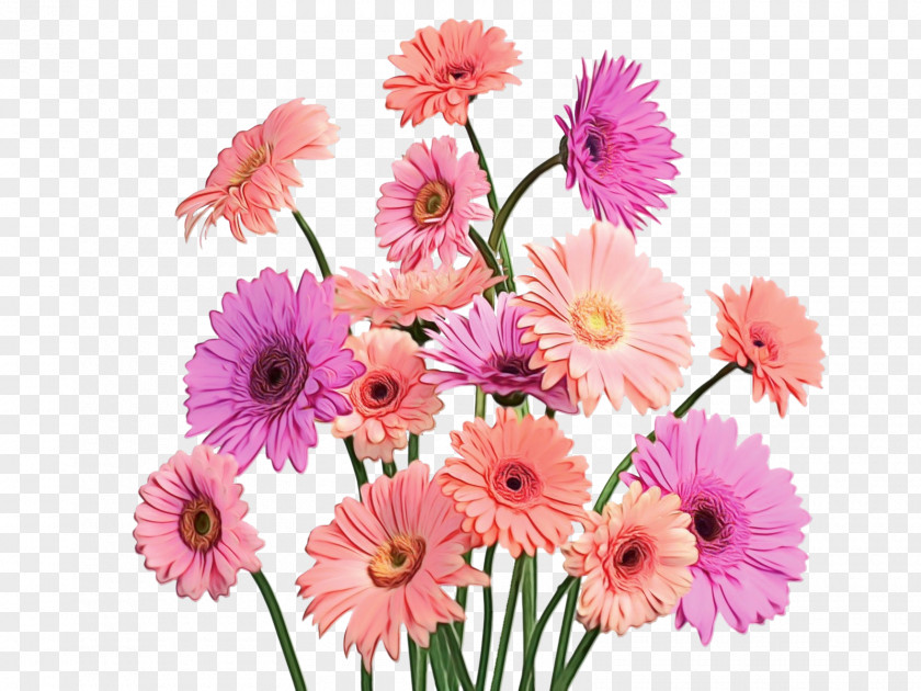 Daisy Family Floral Design PNG