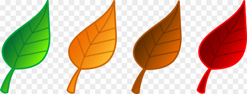 Fall Season Clipart Autumn Leaf Color Clip Art PNG