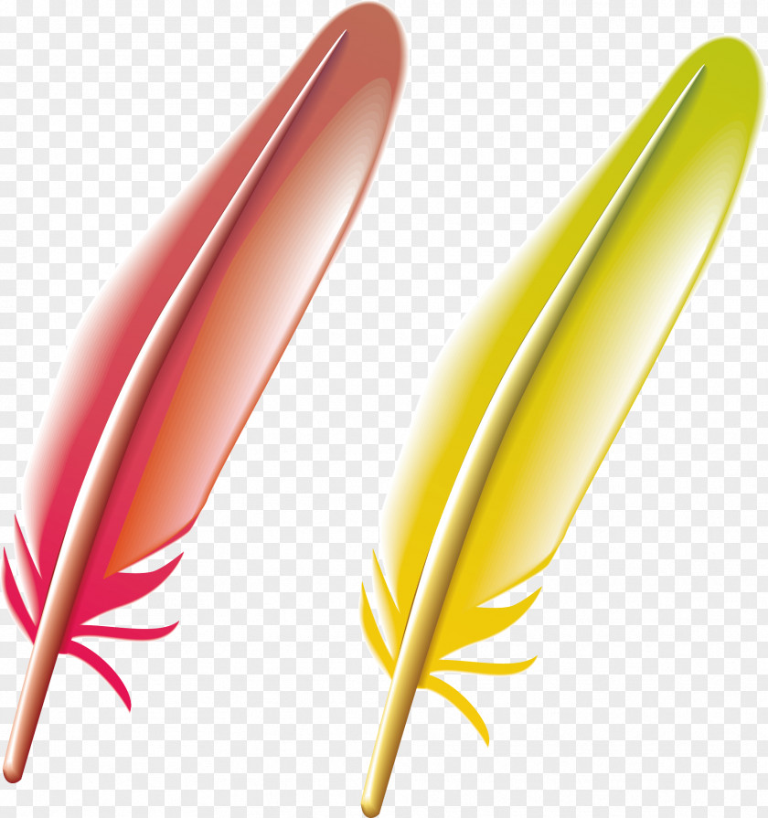 Feather Vector Element PNG