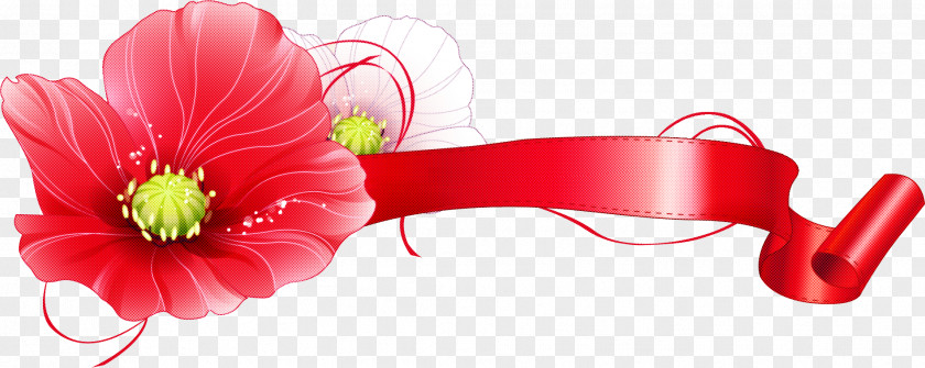 Flower Border Background Floral Line PNG