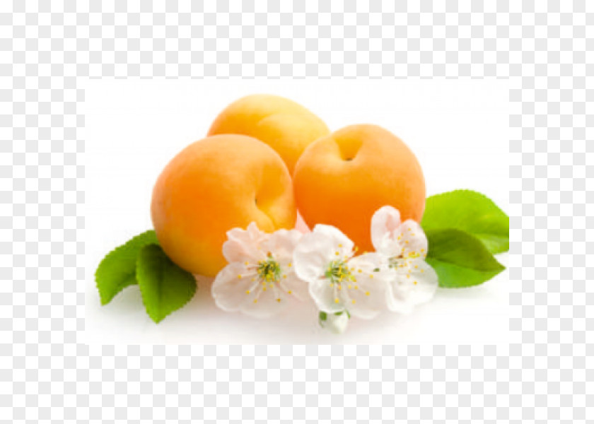 Flower Fruit Flowering Plant Apricot Desktop Wallpaper PNG