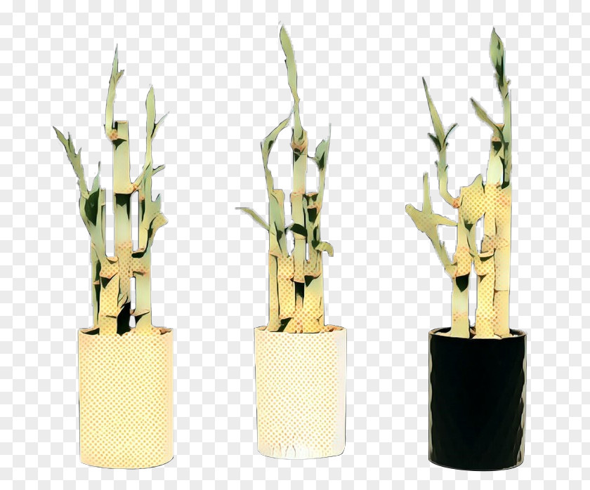 Plant Stem Houseplant Bamboo Flower Flowerpot PNG