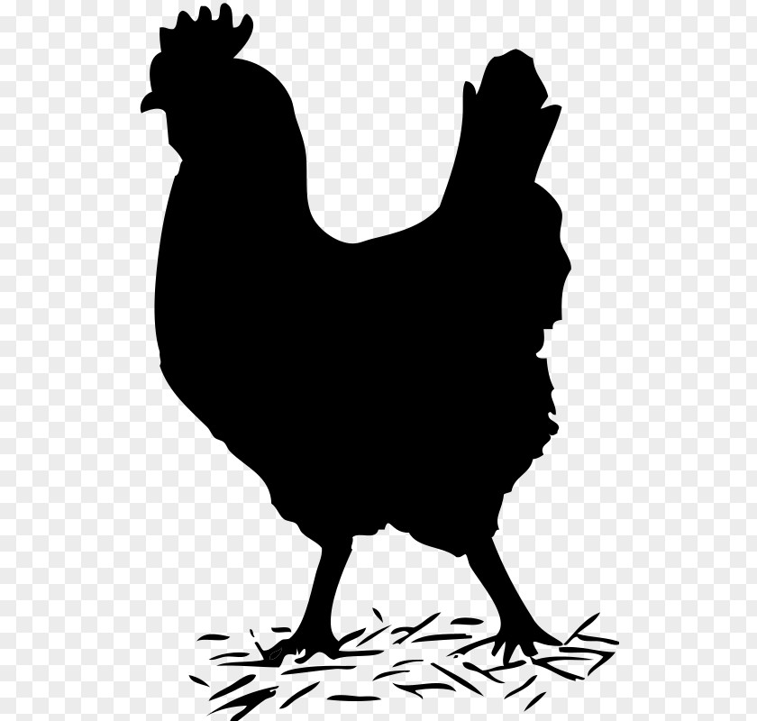 Rooster Wyandotte Chicken Clip Art PNG