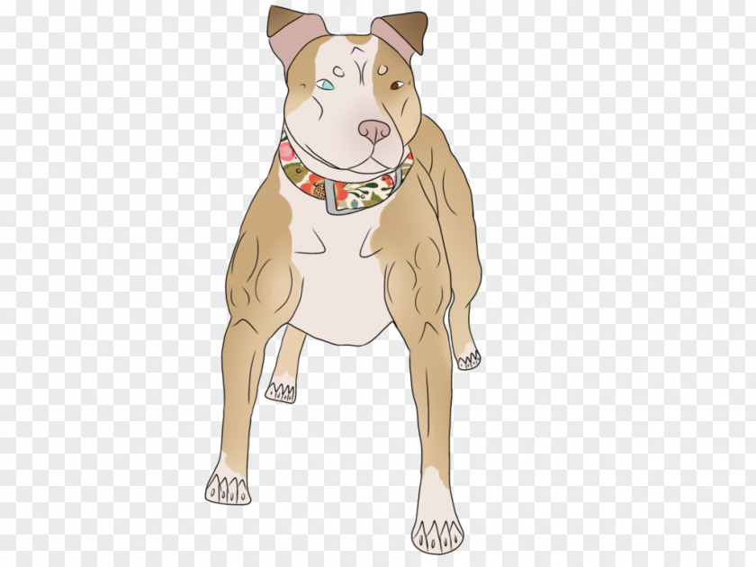 American Pit Bull Terrier Dog Breed Non-sporting Group PNG