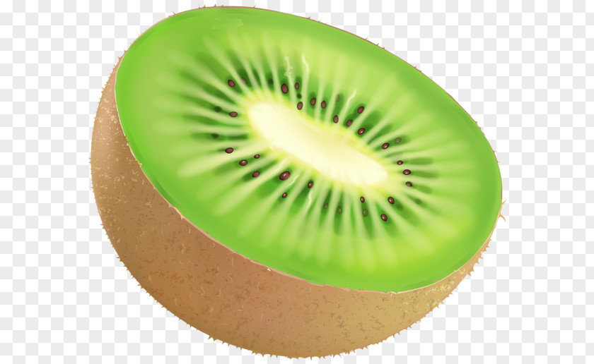 Berries Flyer Vector Graphics Kiwifruit Illustration Image PNG
