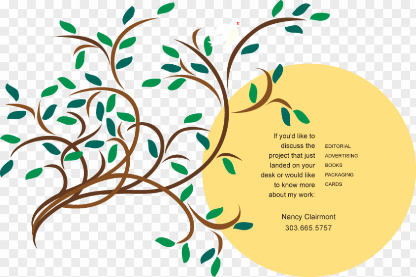 Boulder SERVPRO Of Lafayette/Louisville Graphic Design Floral Illustration PNG