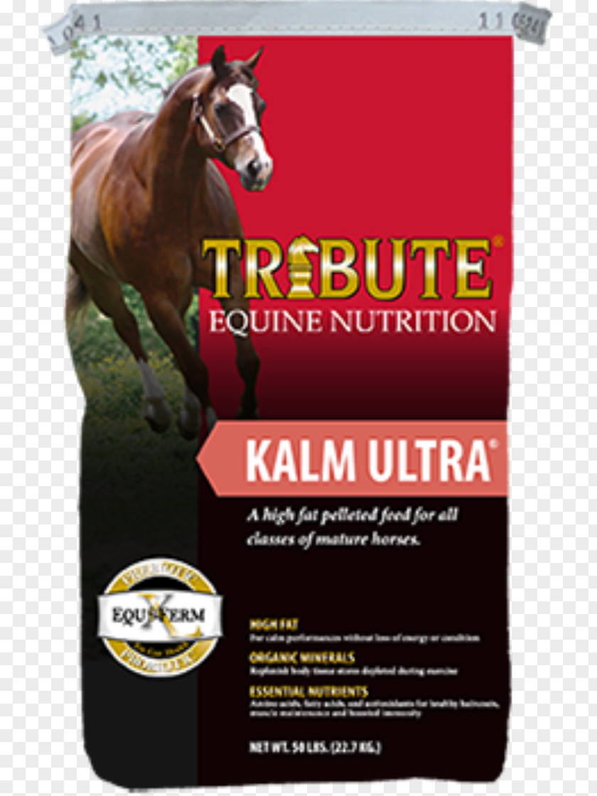 Horse Equine Nutrition Pelletizing Animal Feed Nutrient PNG