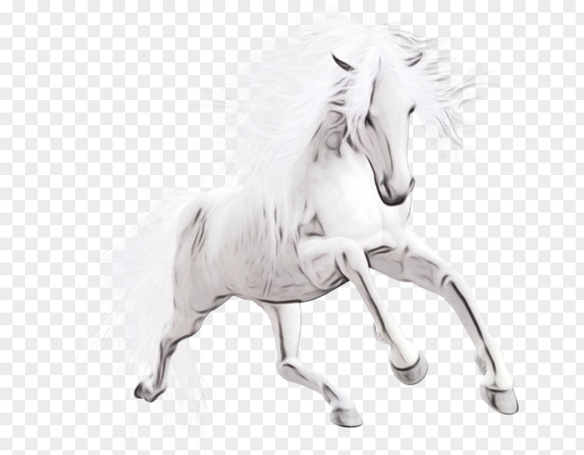 Line Art Mare Horse Animal Figure Mane Stallion Drawing PNG