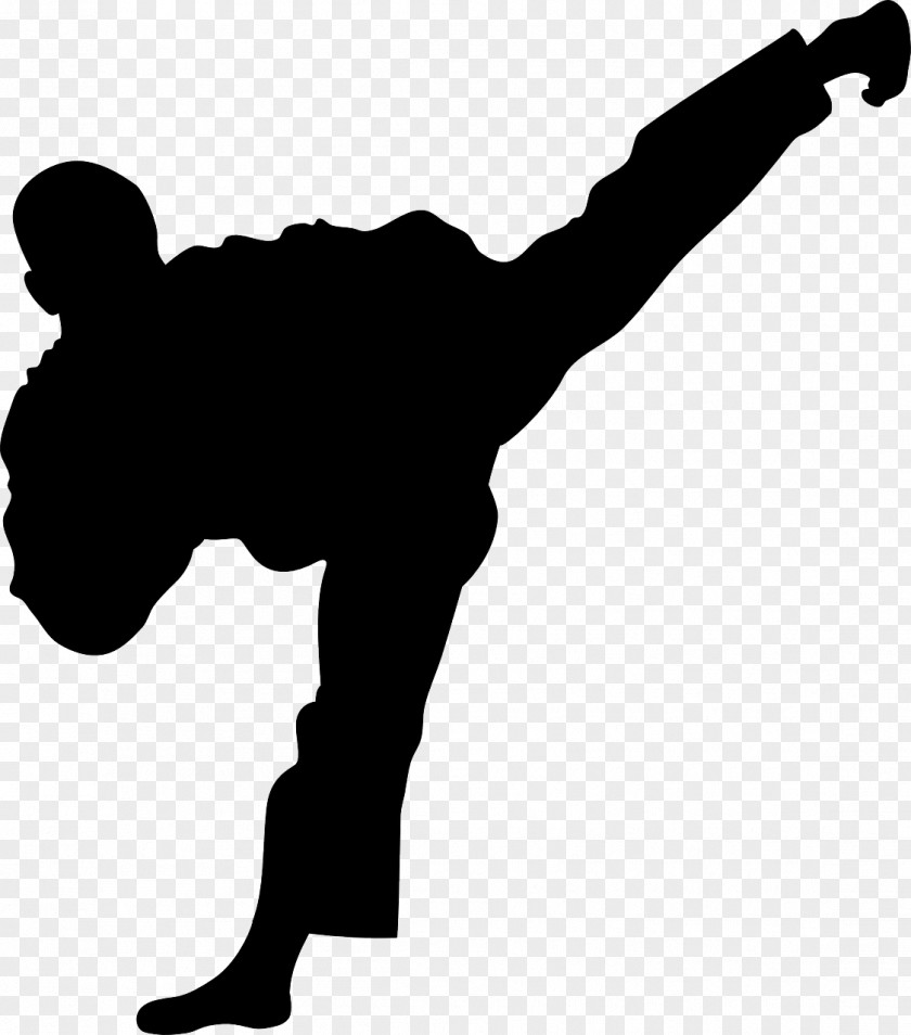 Silhouette Roundhouse Kick Taekwondo Cartoon PNG