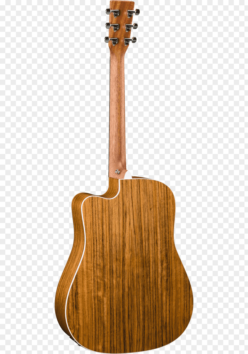 Acoustic Guitar C. F. Martin & Company Dreadnought D-45 PNG