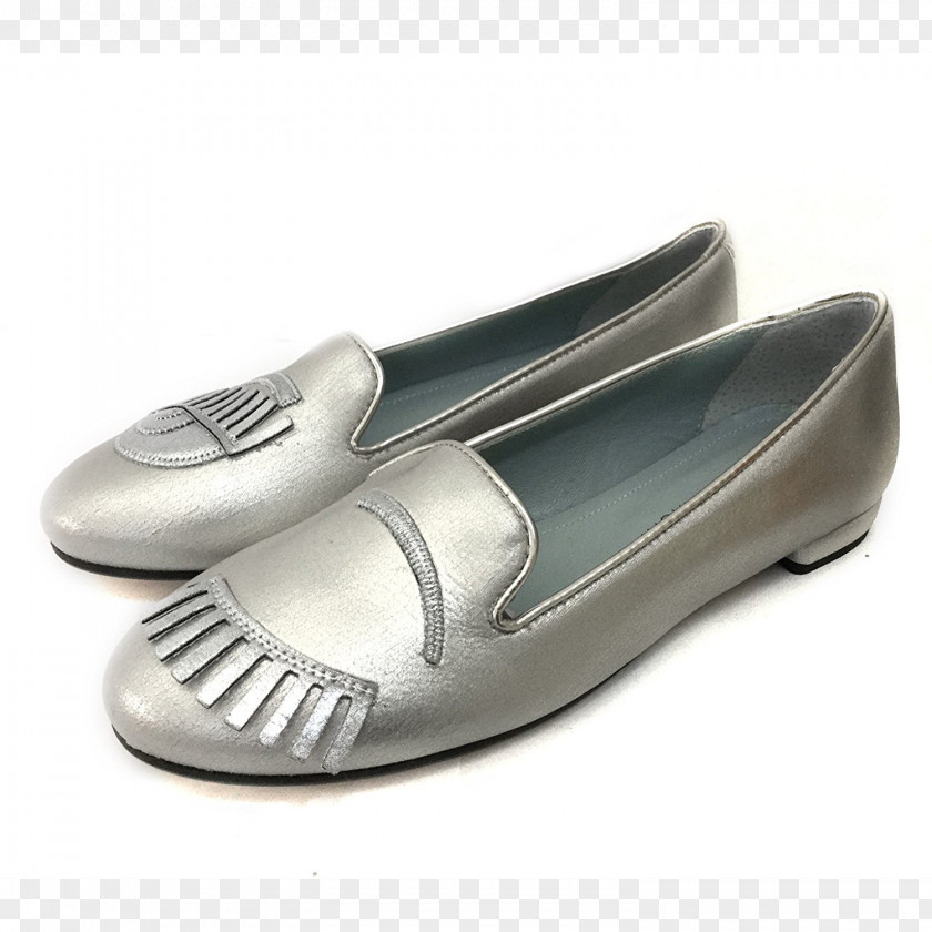 Ballet Flat Shoe Blog PNG