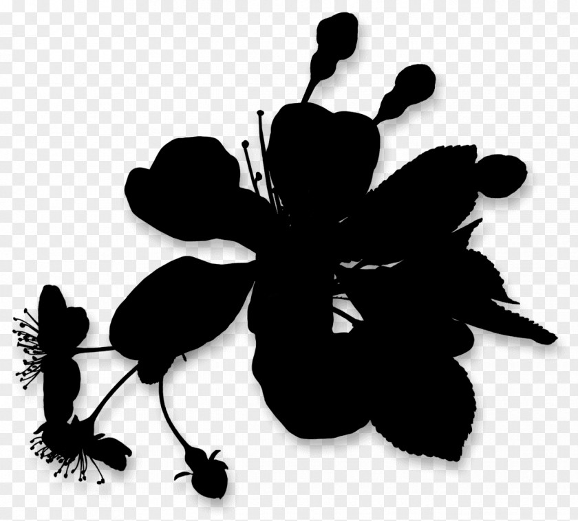 Insect Flowering Plant Silhouette Leaf PNG