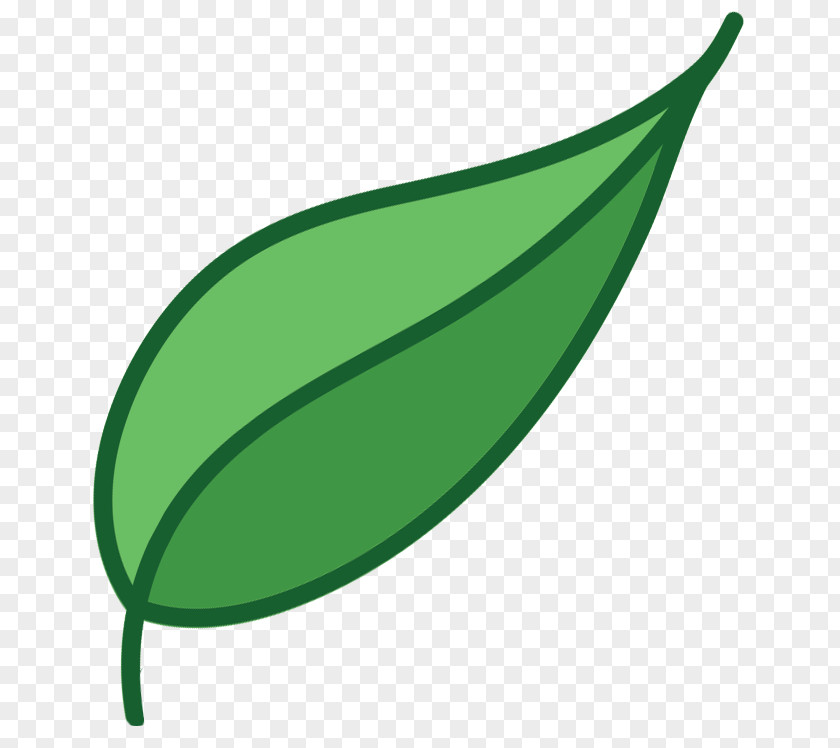 Leaf Little Of Brinjal Reiki Plant Stem Spirituality PNG