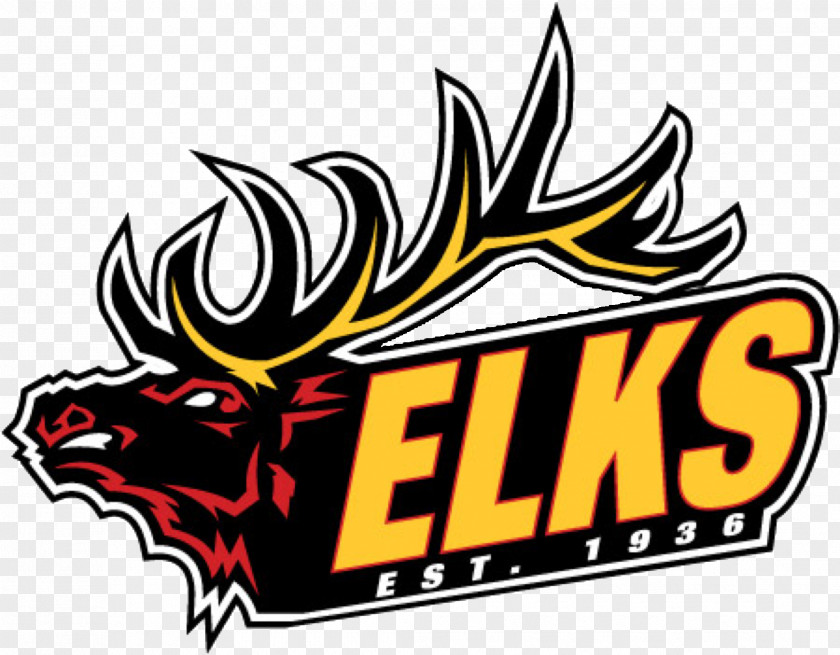 Cartoon Elk River High School Sport Benevolent And Protective Order Of Elks Hockey American Football PNG
