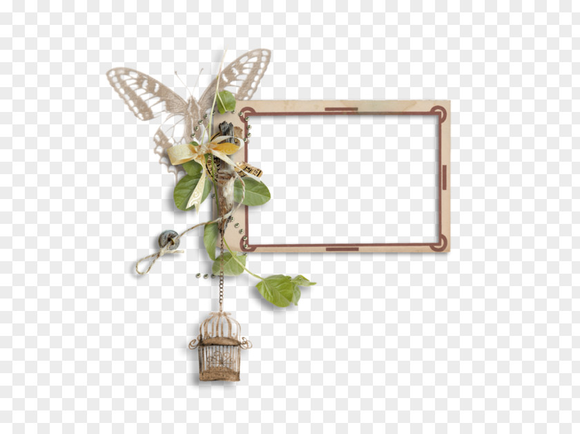 Creative Butterfly Cage Frame Picture PNG