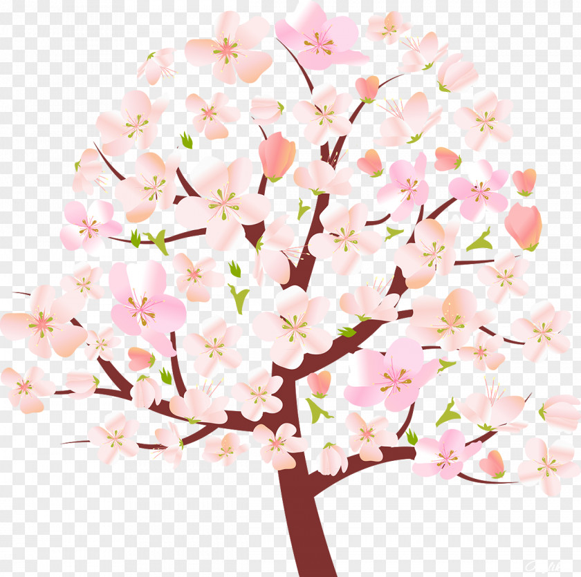Spring Tree Blossom Clip Art PNG
