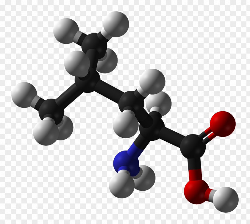 3d Amino Acid Molecule Protein Alanine PNG