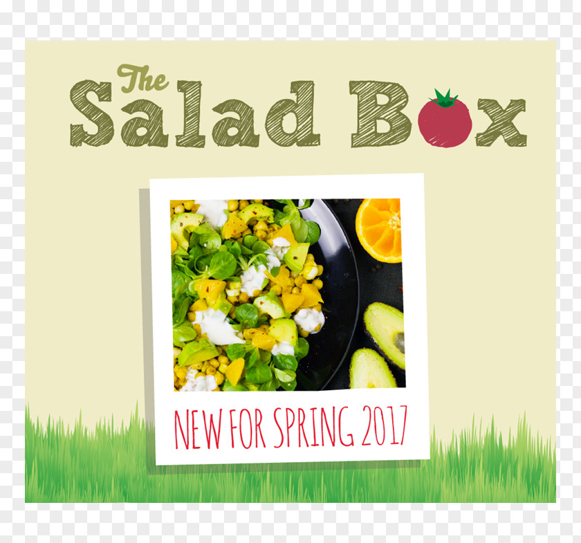 Delicious Food Full Of Flavor Panini Salad Cafe Delicatessen Leeds Beckett University PNG