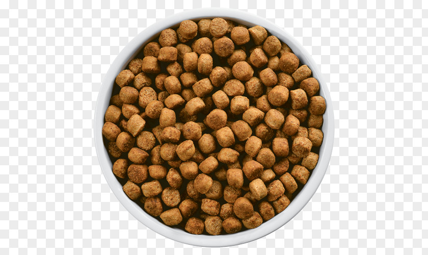 Dog Food Cat Puppy Raw Foodism PNG