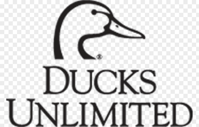 Duck Logo Ducks Unlimited Brand Business Cards PNG