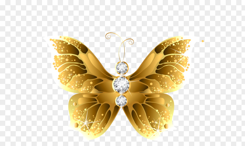 Golden Flowers Butterfly Insect Gold Desktop Wallpaper Clip Art PNG