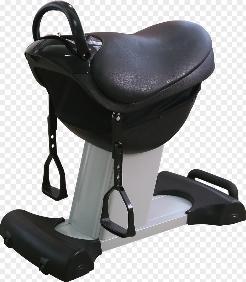 Horse Massage Chair Stallion PNG