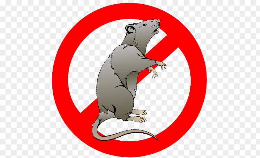 Ratas Y Ratones Rat Mus Household Insect Repellents Mobile App Repelente Free Camomila E Aloe Vera Spray PNG