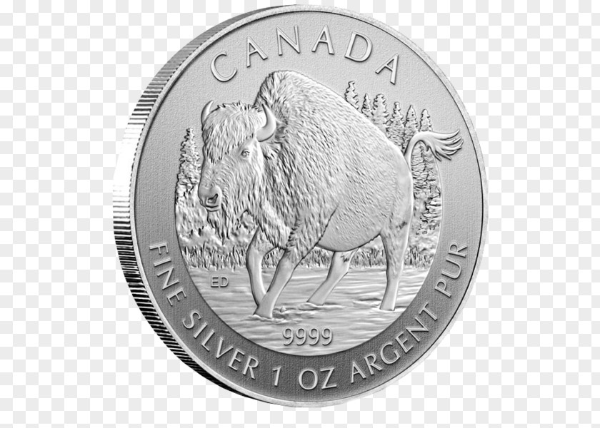 Silver Coin Canada Quarter PNG