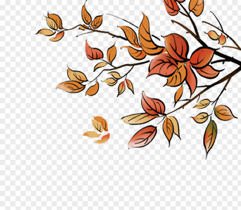 Autumn Falling Leaf PNG